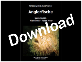 Buch: Teresa (Zubi) Zuberbühler: Anglerfisch, Südostasien, Malediven, Rotes Meer