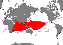 Range - Verbreitung Antennatus linearis (Pygmy frogfish - Linien-Anglerfisch)