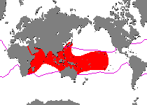 Range - Verbreitung  Antennarius pictus (Painted frogfish - Rundflecken Anglerfisch, Bemalter Fühlerfisch) 