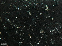 gestreepte hengelaarsvis (Antennarius striatus) - Details van de huid